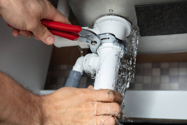 Best 24/7 water damage repair  in Zephyrhills, FL