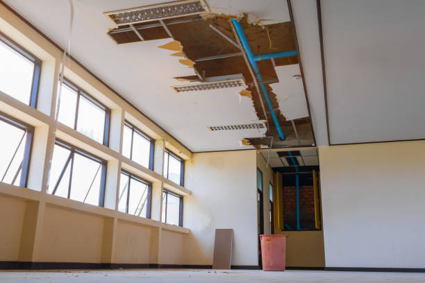 Best Water damage restoration near me  in Zephyrhills, FL