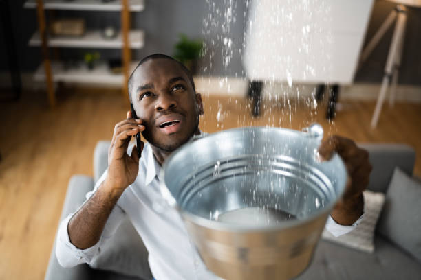 Best Water damage contractors near me  in Zephyrhills, FL