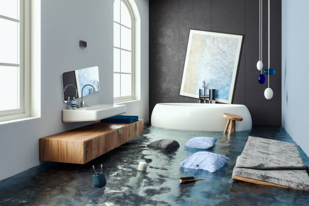 Best Mold removal after water damage  in Zephyrhills, FL
