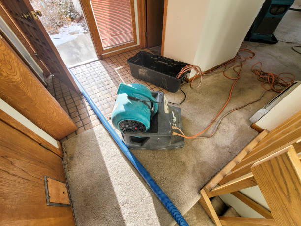  Zephyrhills, FL Water damage restoration Pros