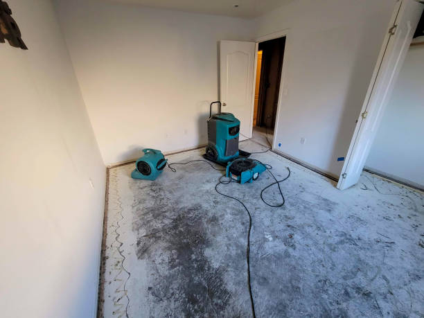 Best Flooded house restoration  in Zephyrhills, FL