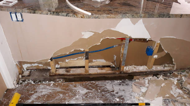 Best Water damage restoration near me  in Zephyrhills, FL