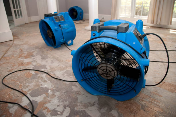 Best Flood damage cleanup  in Zephyrhills, FL