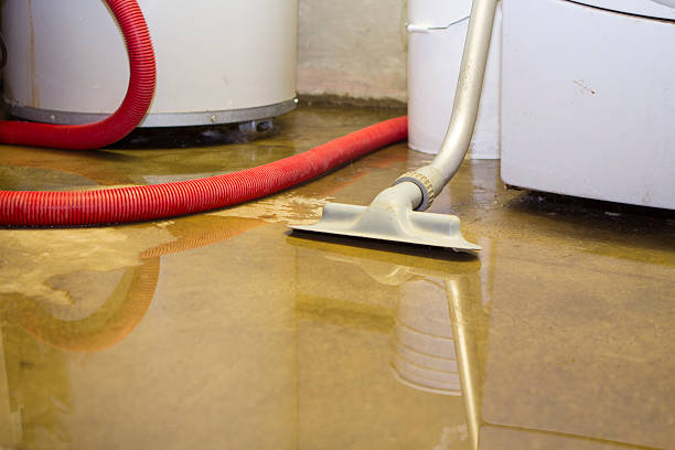 Best Flood restoration services  in Zephyrhills, FL