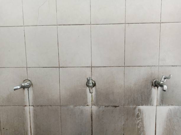 Best Fire Damage Restoration  in Zephyrhills, FL