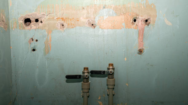  Zephyrhills, FL Water damage restoration Pros