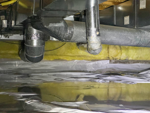 Best Ceiling water damage repair  in Zephyrhills, FL
