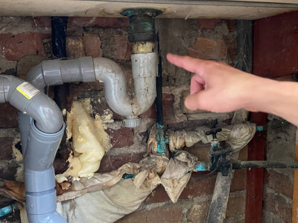 Best Flood damage cleanup  in Zephyrhills, FL