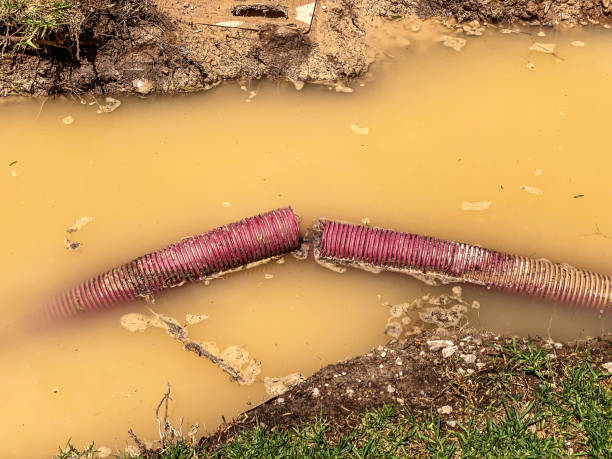Best 24-hour water damage restoration  in Zephyrhills, FL
