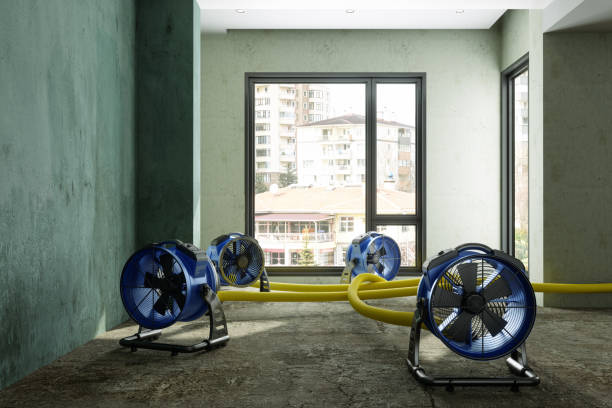 Best Water damage repair service  in Zephyrhills, FL